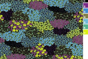 复古波西米亚风面料印花素材，适用于时尚服装与家居布艺设计