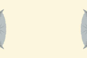 简约对称羽毛面料印花素材 服装印花设计灵感