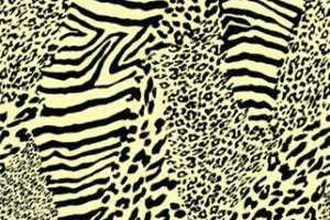 经典黑白豹纹斑马纹服装印花素材，时尚面料印花设计图