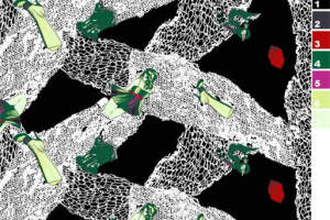 国潮风格服装印花素材，戏曲人物与蕾丝纹理面料印花
