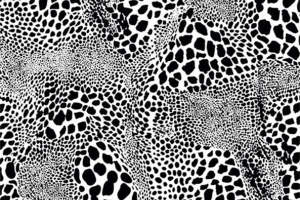 黑白豹纹面料印花素材，彰显个性服装风格