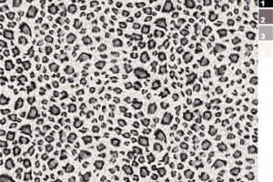 经典黑白豹纹面料印花 时尚服装印花素材推荐