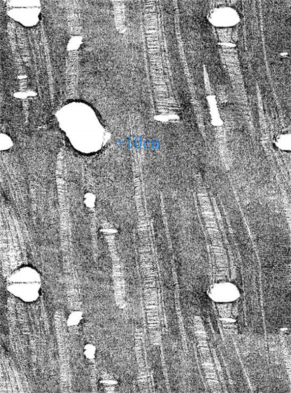 复古破洞纹理面料印花 服装定制素材