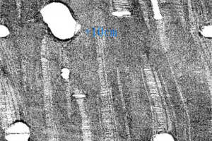 复古破洞纹理面料印花 服装定制素材