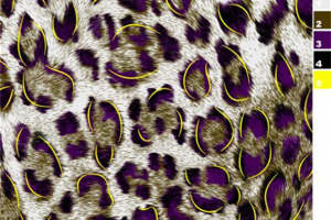 时尚紫色豹纹服装印花设计素材 潮流面料纹理