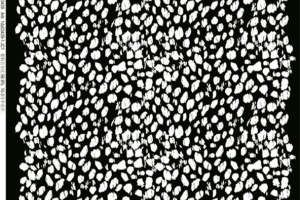 黑白斑点纹理面料印花素材 潮流服装印花设计