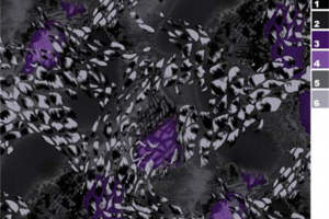 抽象艺术风面料印花素材，时尚服装印花设计灵感