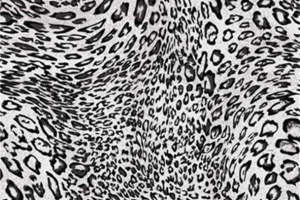 经典黑白豹纹面料印花素材，打造时尚服装印花设计