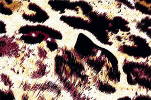 复古豹纹面料印花设计，时尚服装印花素材推荐