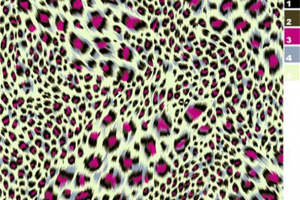 时尚豹纹面料印花设计 服装印花素材推荐