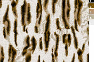 高级质感豹纹面料印花素材 服装印花设计必备