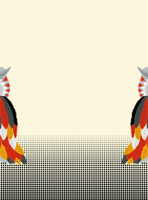 民族风羽毛纹样 服装印花面料设计素材