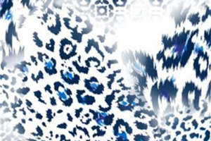 时尚蓝白豹纹与几何融合的面料印花设计素材