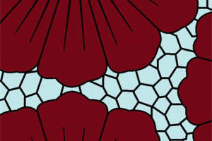 复古红花卉几何面料印花素材