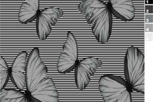 时尚黑白条纹蝴蝶面料印花设计素材