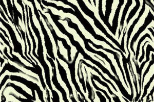 时尚斑马纹面料印花素材，适用于服装印花设计