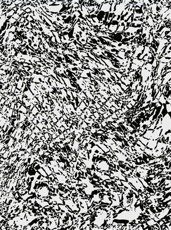 潮流黑白纹理面料印花素材,打造个性服装