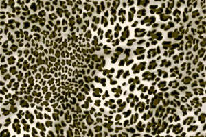 经典豹纹面料印花素材 时尚服装印花设计必备