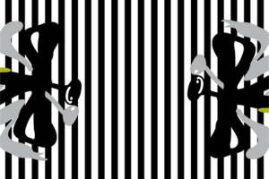 黑白条纹面料印花：现代抽象艺术服装素材