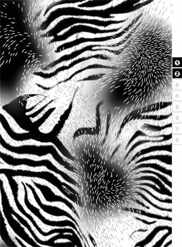 时尚黑白斑马纹面料印花素材,适用于潮流服装印花设计