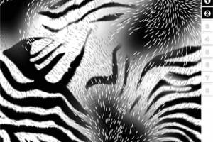 时尚黑白斑马纹面料印花素材，适用于潮流服装印花设计