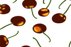 复古樱桃图案面料印花素材