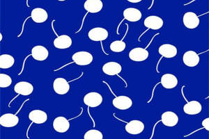 清新蓝白樱桃图案 时尚服装印花素材推荐