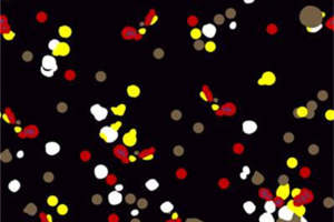 时尚撞色斑点面料印花 创意服装印花素材推荐