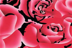 时尚红玫瑰面料印花素材 适合服装印花设计