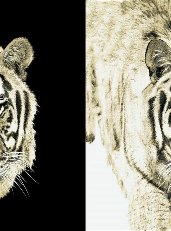 野性虎纹面料印花 高端服装印花设计素材