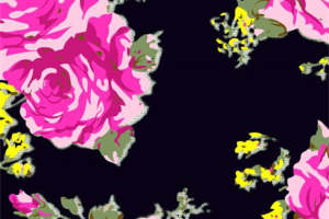 复古玫瑰花卉面料印花 高饱和度服装印花设计素材