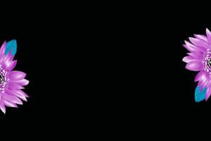 优雅紫色花卉服装印花设计素材推荐