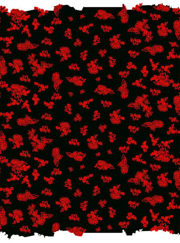 复古红黑花卉面料印花 服装印花设计素材推荐