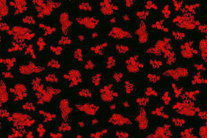 复古红黑花卉面料印花 服装印花设计素材推荐