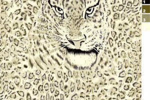 复古豹纹面料印花设计，时尚服装印花素材推荐