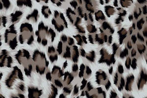 时尚豹纹面料印花设计 高端服装印花素材推荐