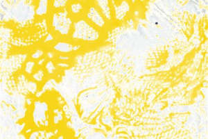 时尚黄白交织面料印花素材 创意服装印花设计灵感