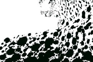 时尚豹纹面料印花素材 个性服装印花设计灵感