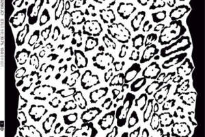 时尚黑白豹纹面料印花素材 服装印花设计灵感