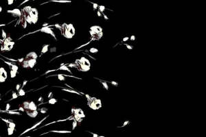 黑白手绘花卉面料印花 时尚服装印花素材推荐