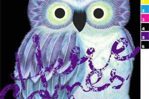 梦幻猫头鹰渐变面料印花素材 服装印花设计灵感