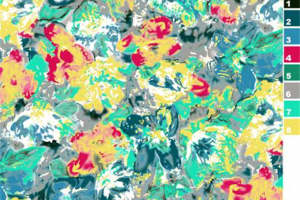 时尚撞色抽象花卉面料印花素材推荐