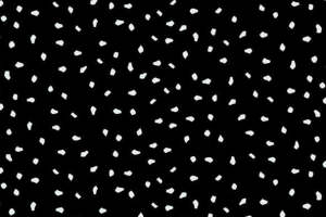 经典黑白斑点服装印花素材 时尚面料设计灵感