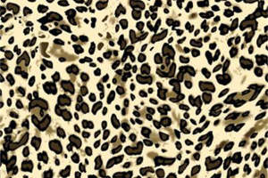 经典豹纹面料印花素材 时尚野性服装印花设计灵感