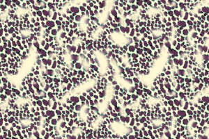 时尚豹纹面料印花素材 高端服装印花设计灵感