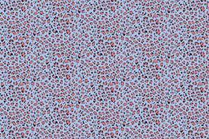 时尚豹纹面料印花 服装印花设计素材推荐