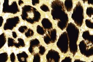 复古豹纹面料印花素材 时尚服装印花设计灵感