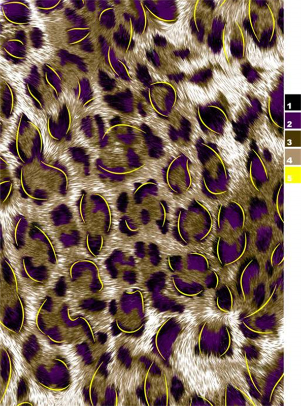 时尚豹纹面料印花设计素材