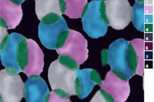 现代艺术风面料印花素材 时尚服装印花设计