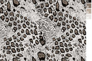 时尚豹纹面料印花素材 | 经典动物纹理服装图案